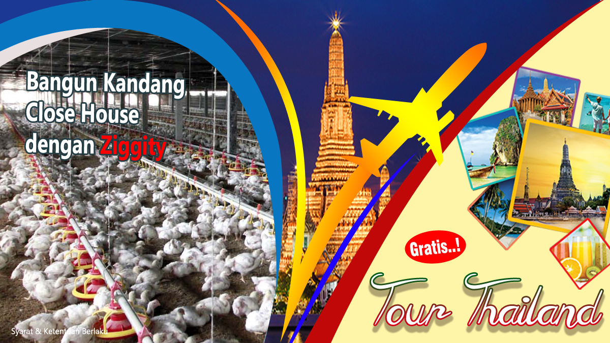 Banner FB Ads 1200 x 567